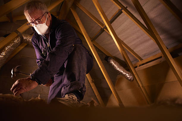 Insulation for Commercial Buildings in Somonauk, IL